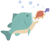 Fish Predation