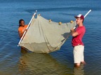 Seining for aquatic organisms in the Chesapeake