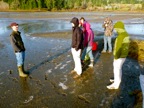 Tidal flats and oysters!