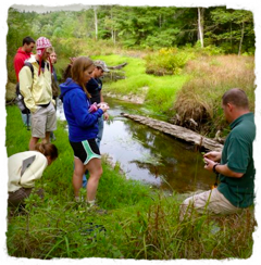 wetland_field_trip