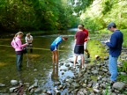 Stream habitat