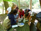 Assessing health of the stream