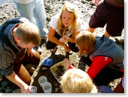 sampling_macroinvertebrates