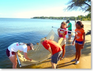 seining_the_chesapeake