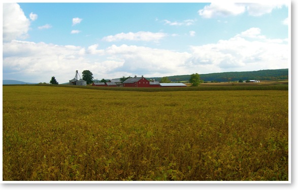 Union county farm