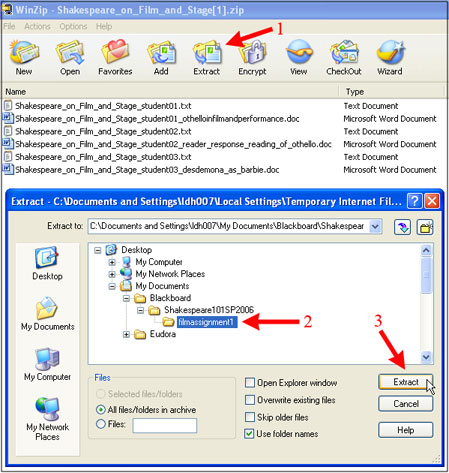 Extracting Zip File in WinZip