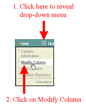 Modify Total Column