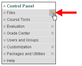 Go to the Course Files Area