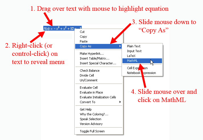 Copy Formula in MathML Format