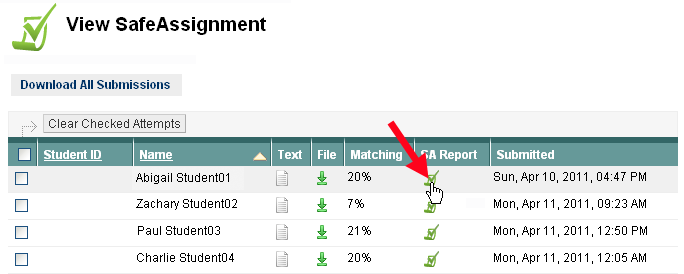 Safe Assignment Summary Page