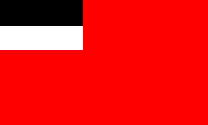 Georgian Flag