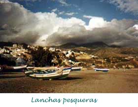 Lanchas pesqueras
