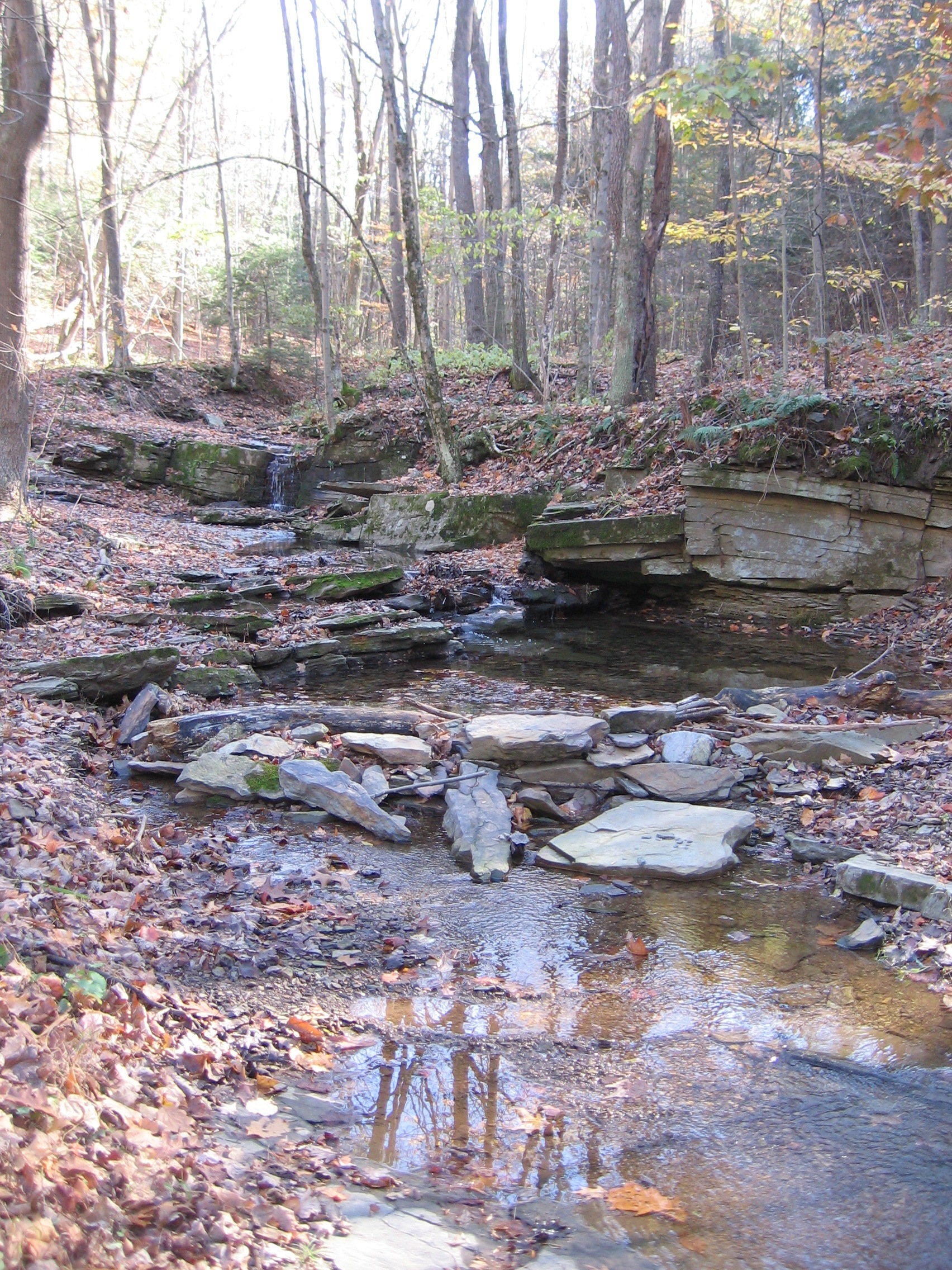 Creek along SR 4006