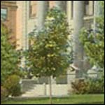 Carnegie Library in Spokane, Washington