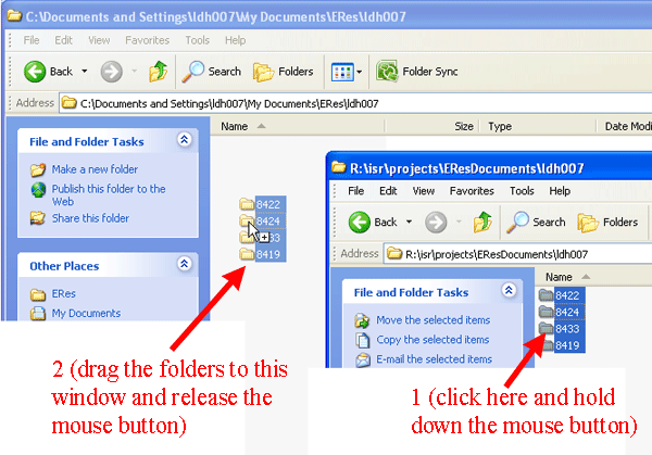 Copy Folders