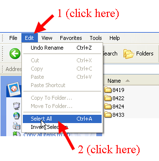 Select All Folders