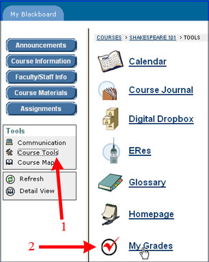 My Grades, Student View