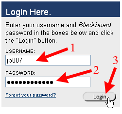 Login Screen