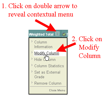 Modify Weighted Total Column