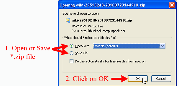 Open or Save Zip File