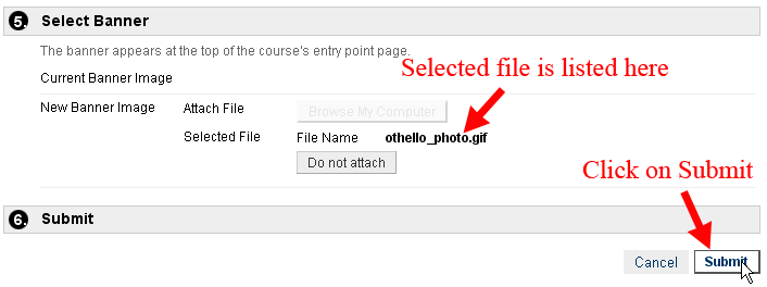 Submit Selected File