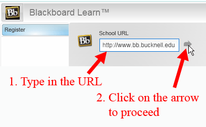 Type in Blackboard URL