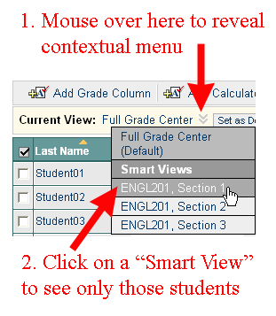 Select Smart View